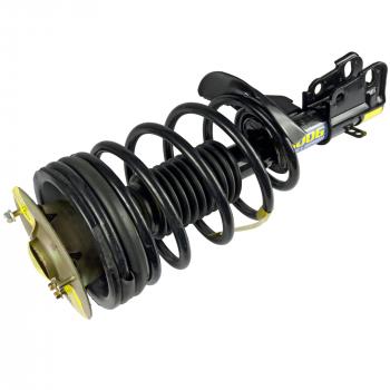 Moog Suspension Strut and Coil Spring Assembly product image