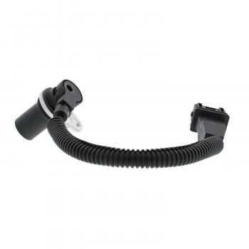 MotoRad 1CS184 - Engine Camshaft Position Sensor MotoRad 1CS184 Engine Camshaft Position Sensor product image 2 of 8