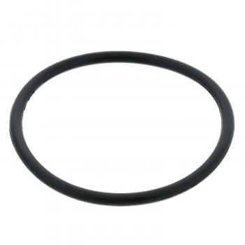 MotoRad MG1006EA - Engine Coolant Thermostat Seal MotoRad MG1006EA Engine Coolant Thermostat Seal product image 1 of 2