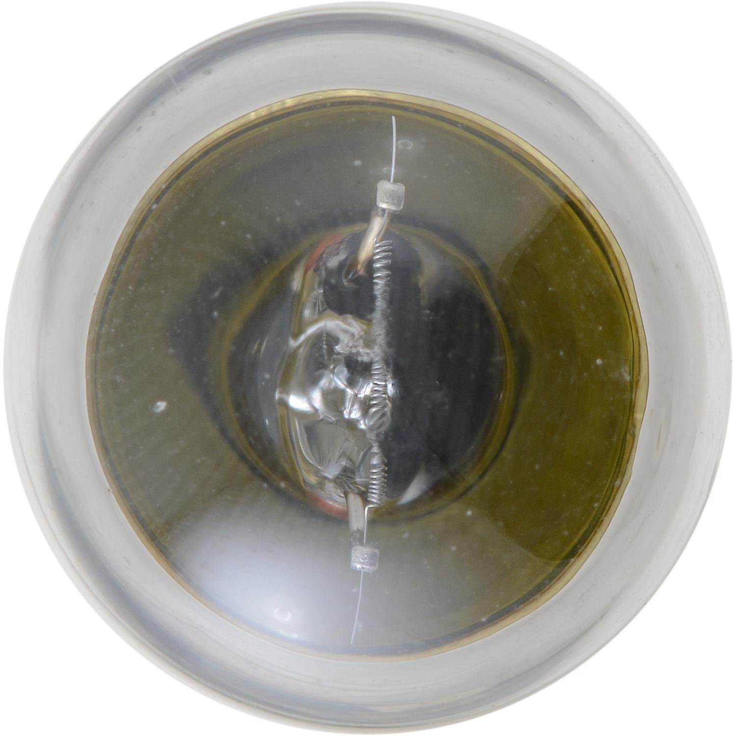 Philips 1004B2 - Trunk Light Bulb Philips 1004B2 Courtesy Light Bulb product image 2 of 10