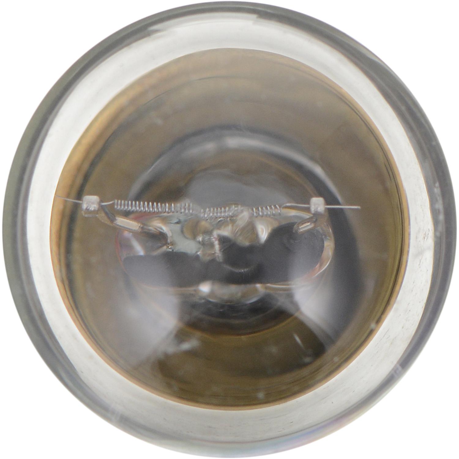 Philips 1004CP - Trunk Light Bulb Philips 1004CP Courtesy Light Bulb product image 9 of 9