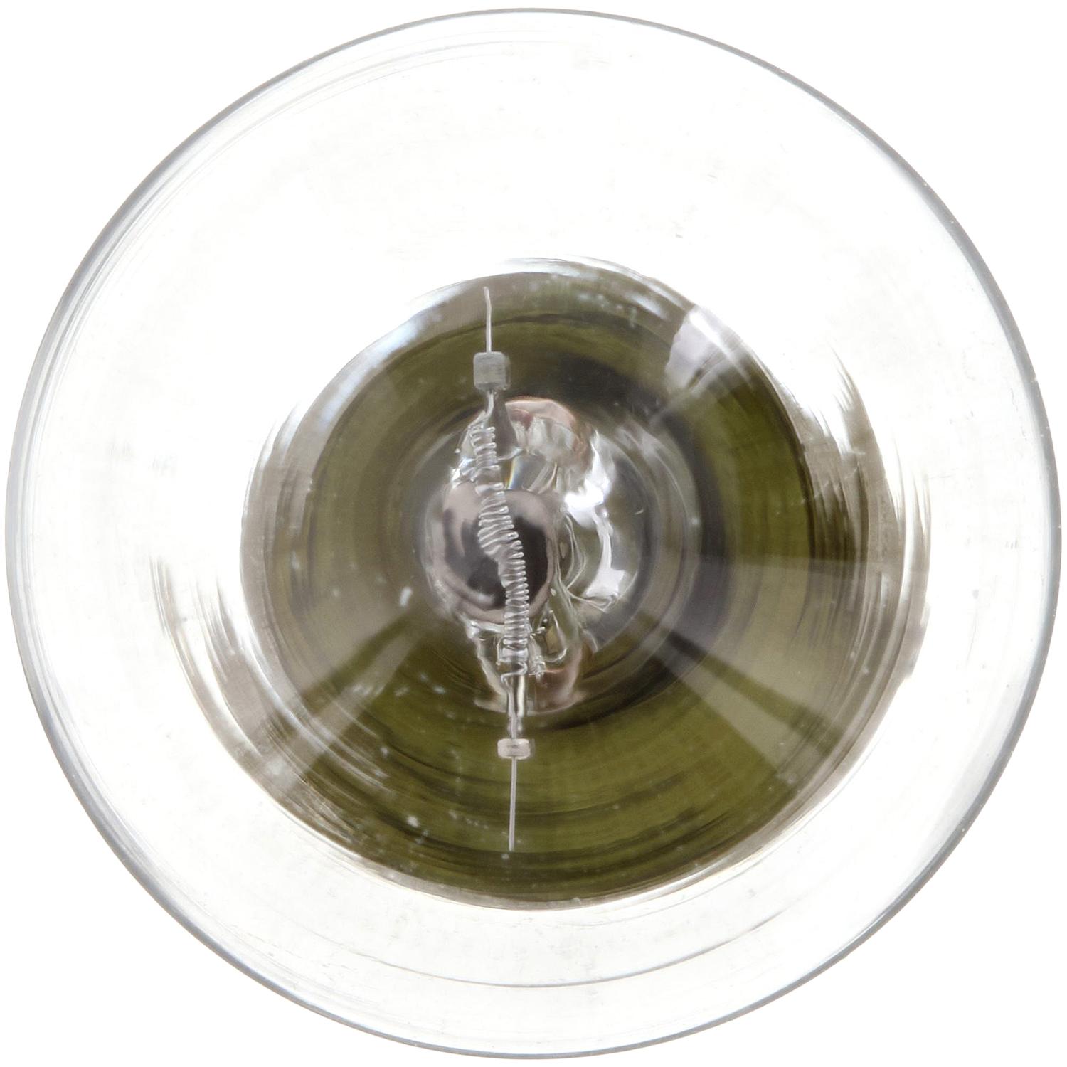 Philips 1076CP - Luggage Compartment Light Bulb Philips 1076CP Back Up Light Bulb product image 2 of 10