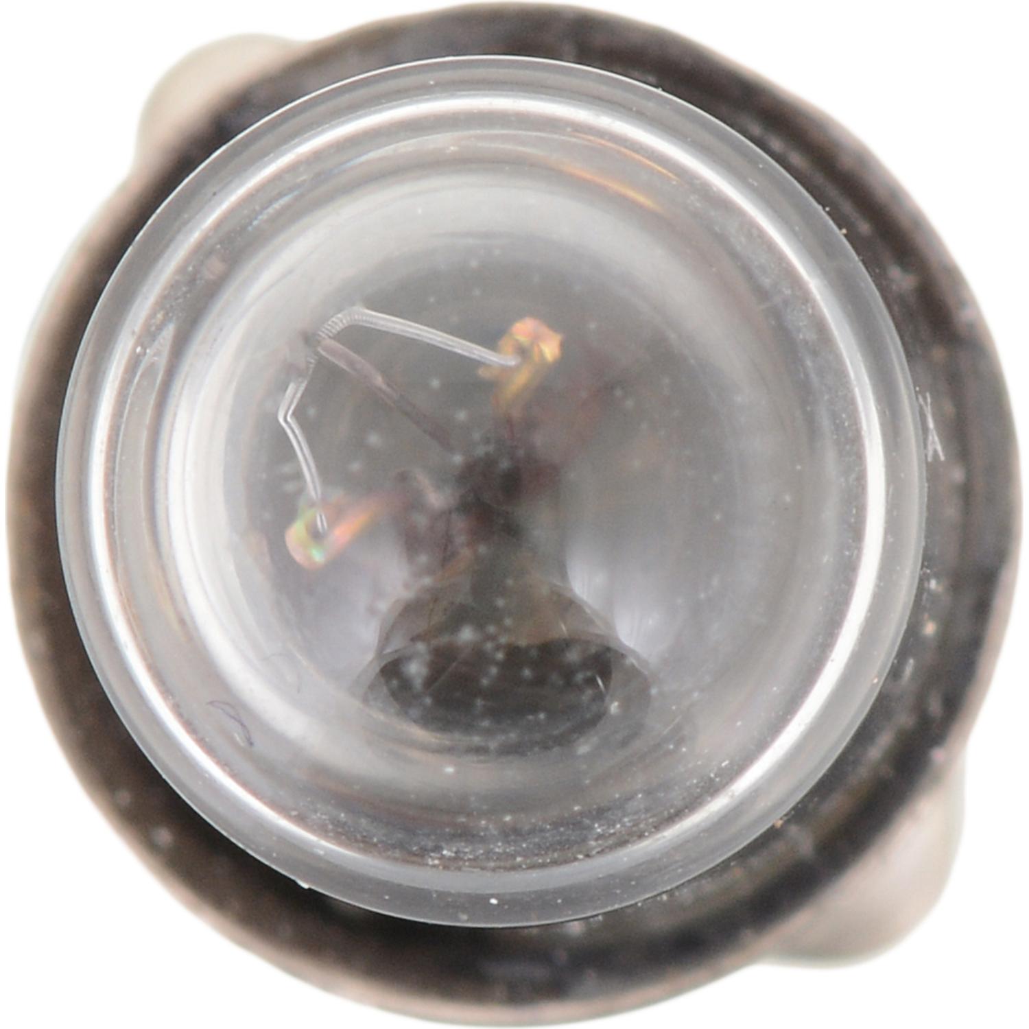 Philips 12829CP Ash Tray Light Bulb product image 9 of 9