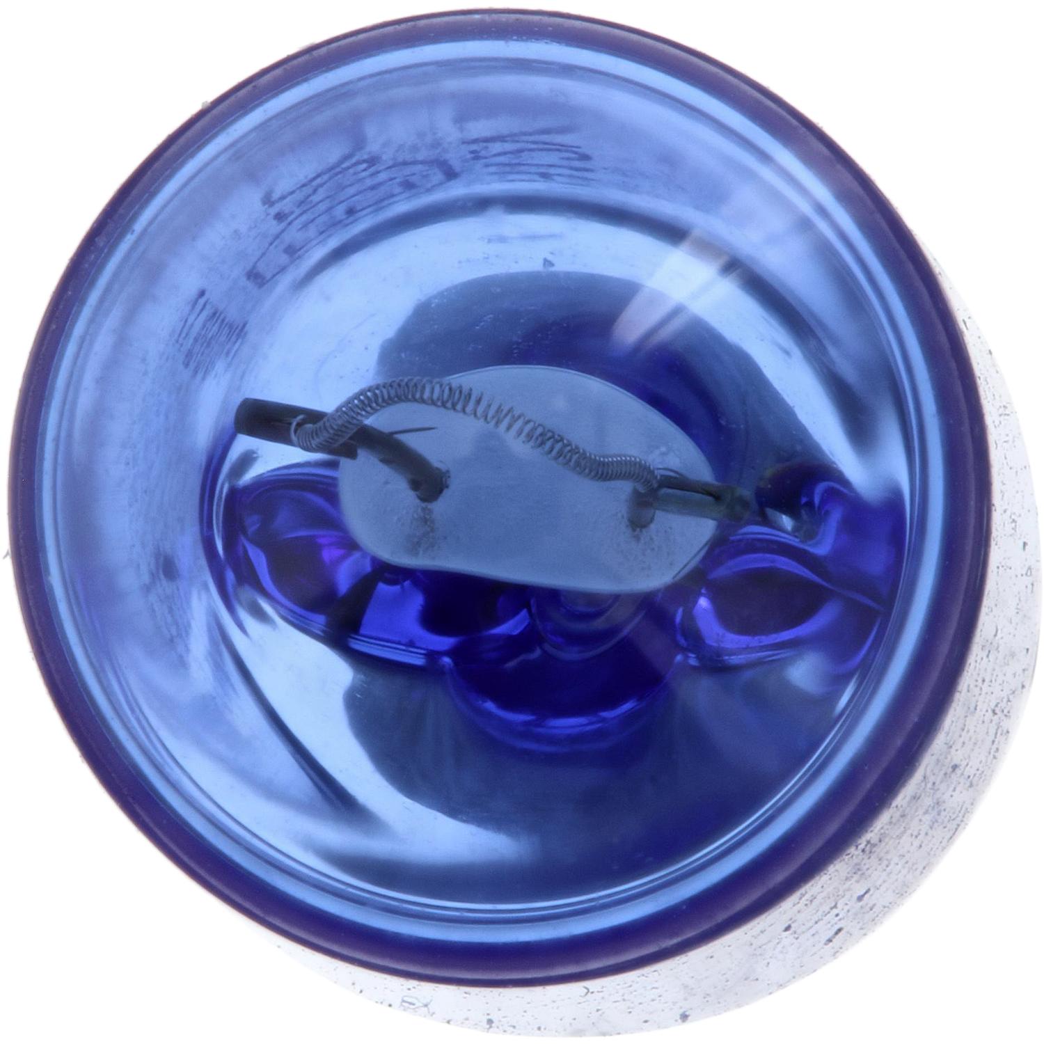 Philips 12961CVB2 - Multi Purpose Light Bulb Philips 12961CVB2 Back Up Light Bulb product image 2 of 19