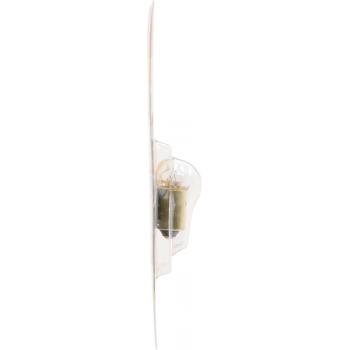 Philips 1445B2 Ash Tray Light Bulb product image 8 of 10