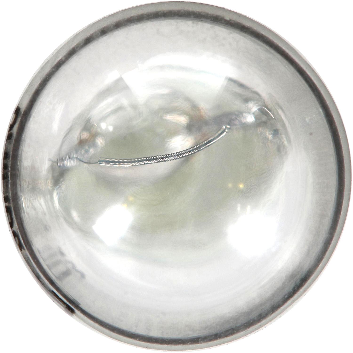 Philips 158LLB2 - Multi Purpose Light Bulb Philips 158LLB2 Ash Tray Light Bulb product image 9 of 9