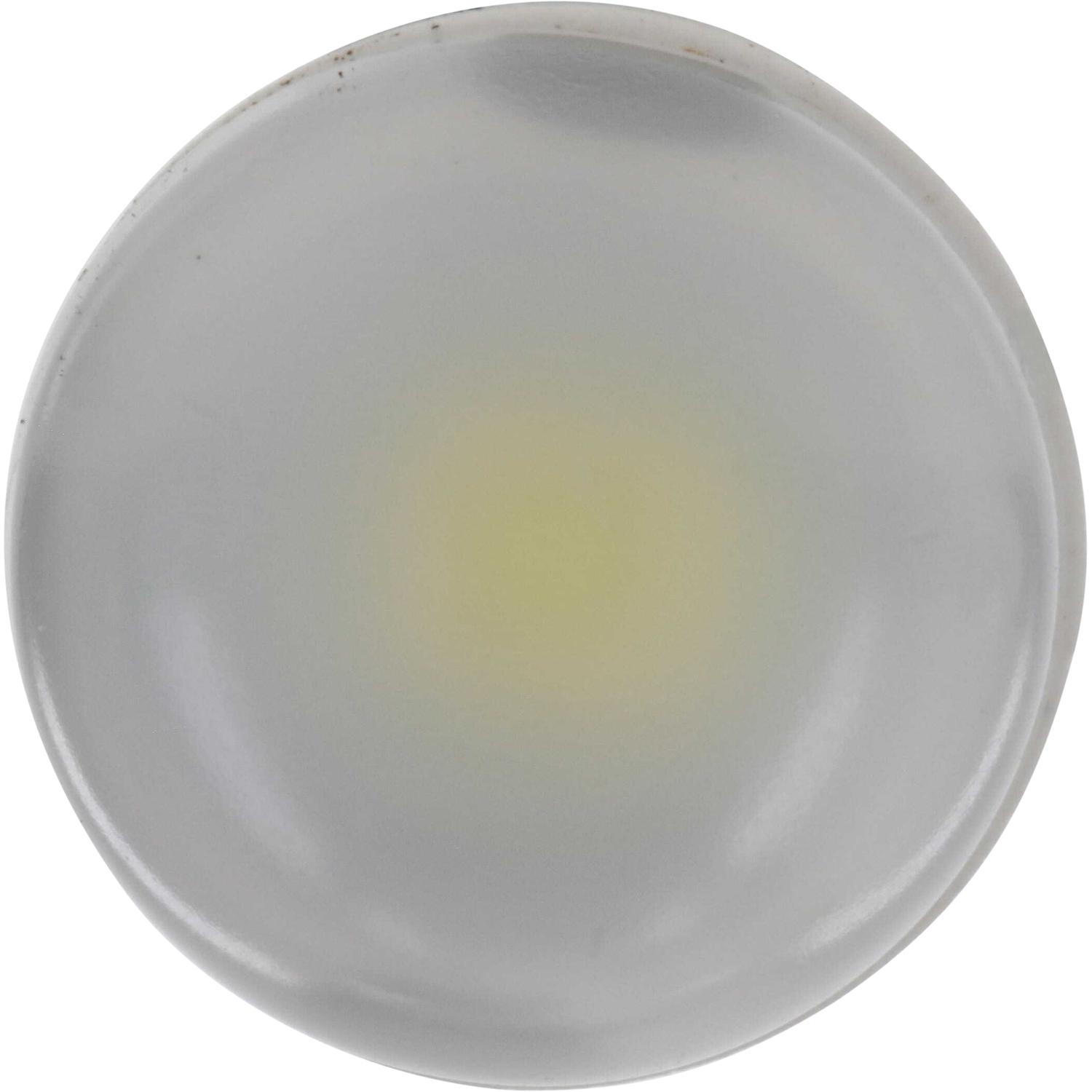 Philips 168WLED - Multi Purpose Light Bulb Philips 168WLED Ash Tray Light Bulb product image 3 of 11