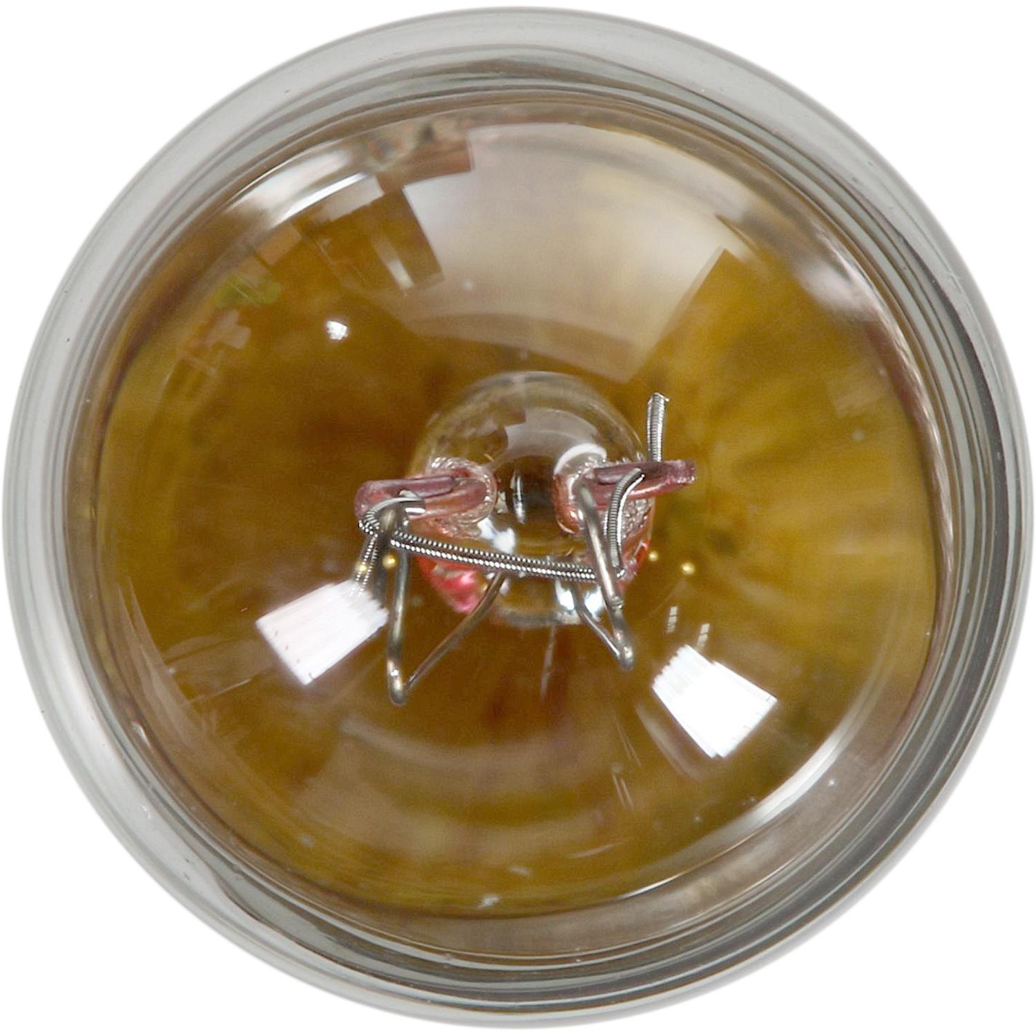 Philips 1891B2 - Instrument Panel Light Bulb Philips 1891B2 Ash Tray Light Bulb product image 2 of 10