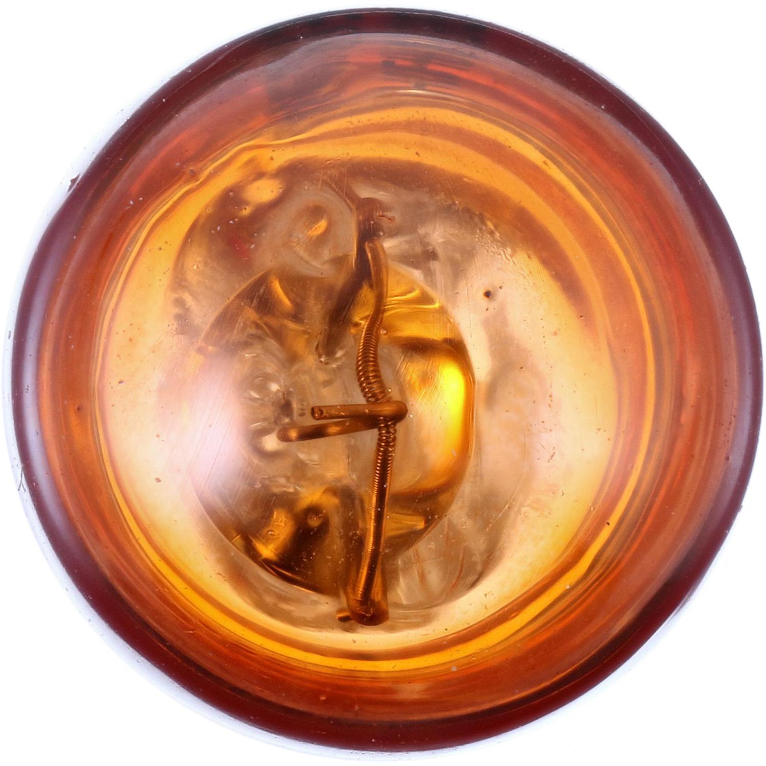 Philips 24NALLB2 - Turn Signal Light Bulb Philips 24NALLB2 Parking Light Bulb product image 2 of 10