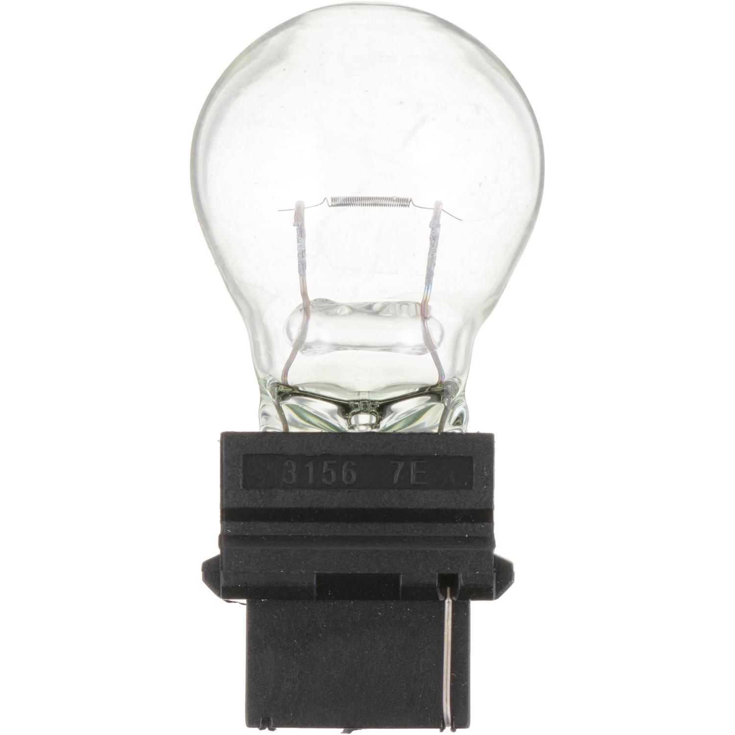 Philips 3156CP Back Up Light Bulb product image 1 of 10