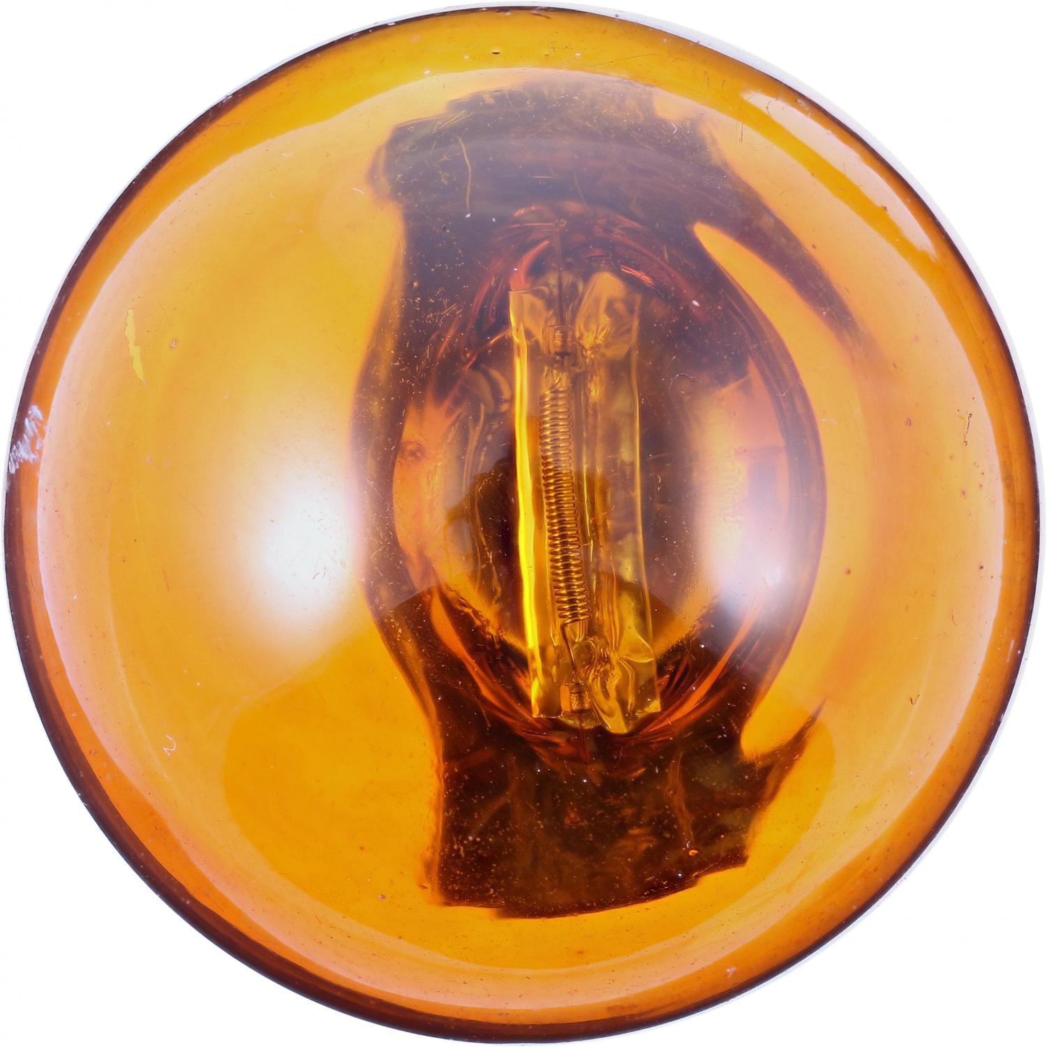 Philips 3156NALLB2 - Turn Signal Light Bulb Philips 3156NALLB2 Turn Signal Light Bulb product image 2 of 10