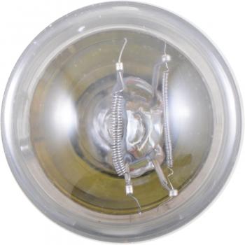 Philips 3496LLB2 Brake Light Bulb product image 2 of 10