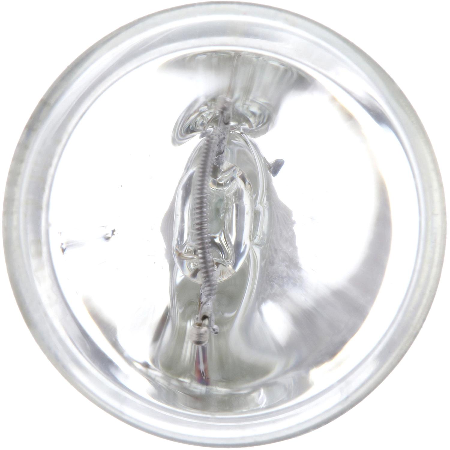 Philips 7441CP - Turn Signal Light Bulb Philips 7441CP Back Up Light Bulb product image 2 of 10