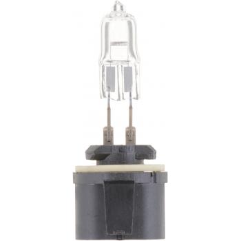 Philips 885B1 Fog Light Bulb product image 4 of 10
