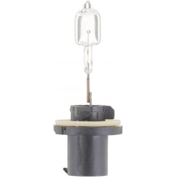 Philips 885B1 Fog Light Bulb product image 5 of 10