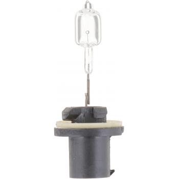 Philips 885B1 Fog Light Bulb product image 10 of 10