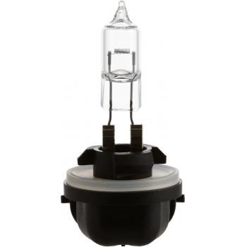 Philips 889B1 Back Up Light Bulb product image 1 of 10