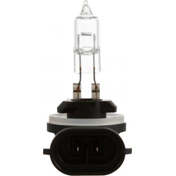 Philips 889B1 Back Up Light Bulb product image 4 of 10