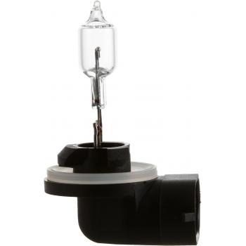 Philips 889B1 Back Up Light Bulb product image 5 of 10
