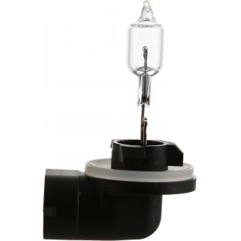 Philips 889B1 Back Up Light Bulb product image 10 of 10