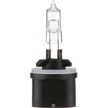 Philips 890B1 - Turn Signal Light Bulb Philips 890B1 Back Up Light Bulb product image 1 of 10