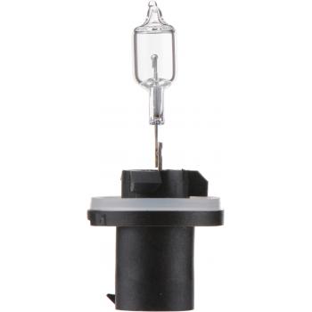 Philips 890B1 - Turn Signal Light Bulb Philips 890B1 Back Up Light Bulb product image 5 of 10