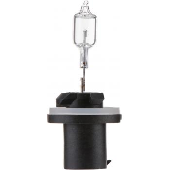 Philips 890B1 - Turn Signal Light Bulb Philips 890B1 Back Up Light Bulb product image 10 of 10