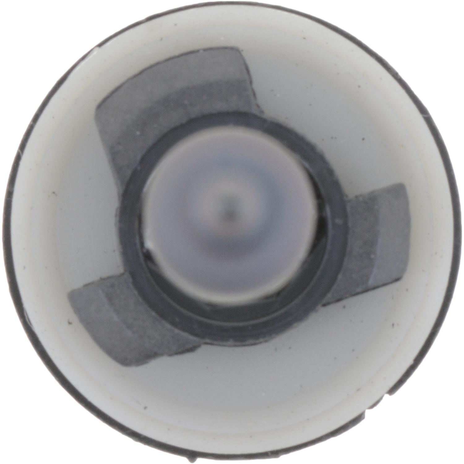 Philips 893B1 - Fog Light Bulb Philips 893B1 Fog Light Bulb product image 2 of 10