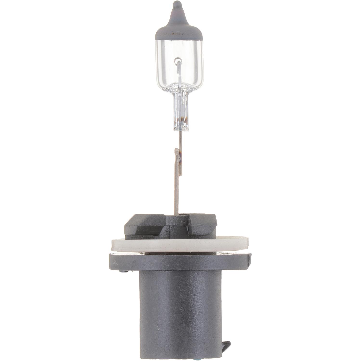 Philips 893B1 - Fog Light Bulb Philips 893B1 Fog Light Bulb product image 5 of 10