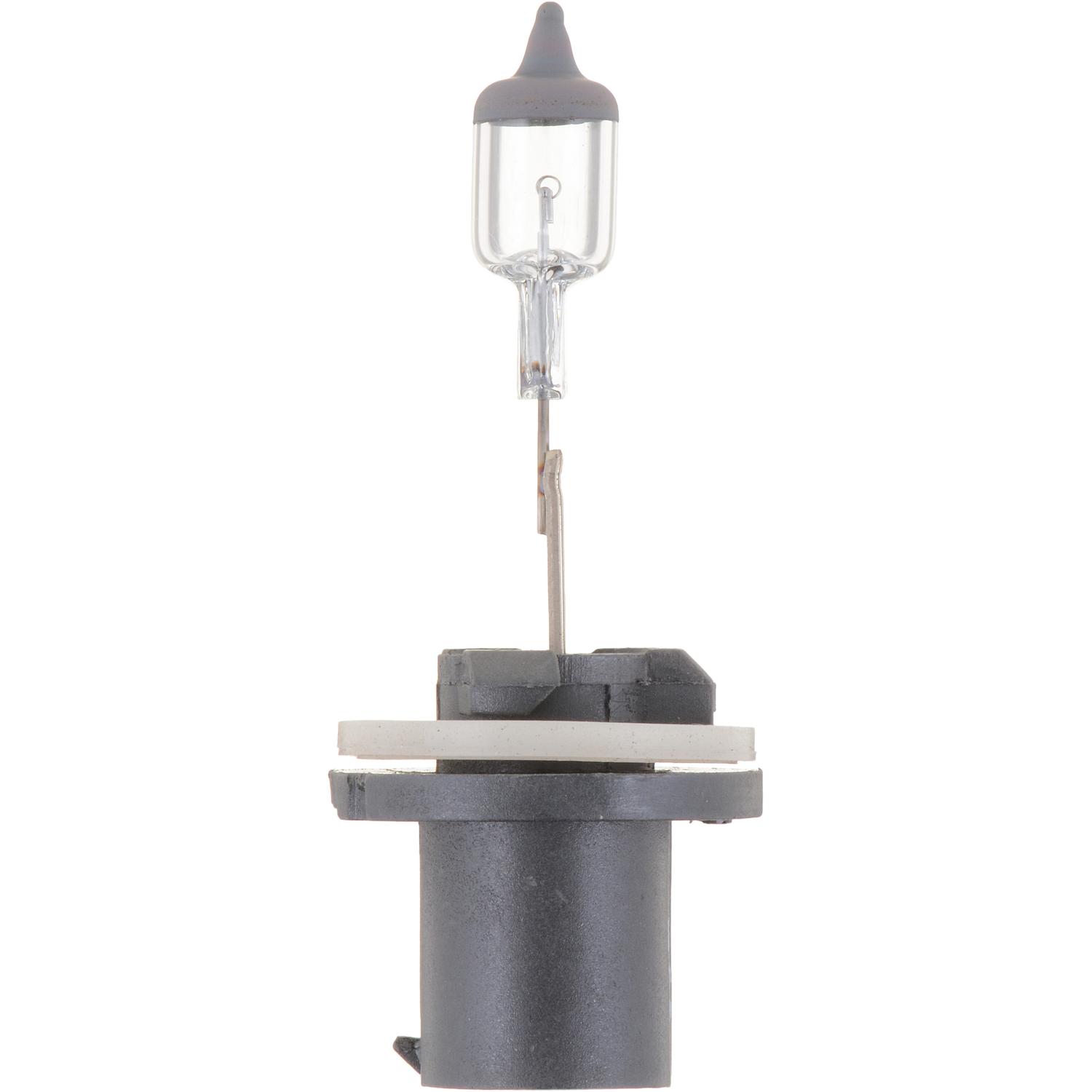 Philips 893B1 - Fog Light Bulb Philips 893B1 Fog Light Bulb product image 10 of 10