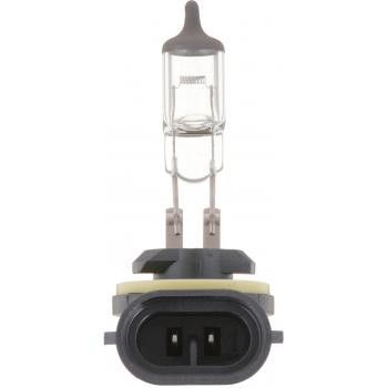 Philips 896B1 Fog Light Bulb product image 3 of 8