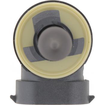 Philips 896B1 Fog Light Bulb product image 8 of 8