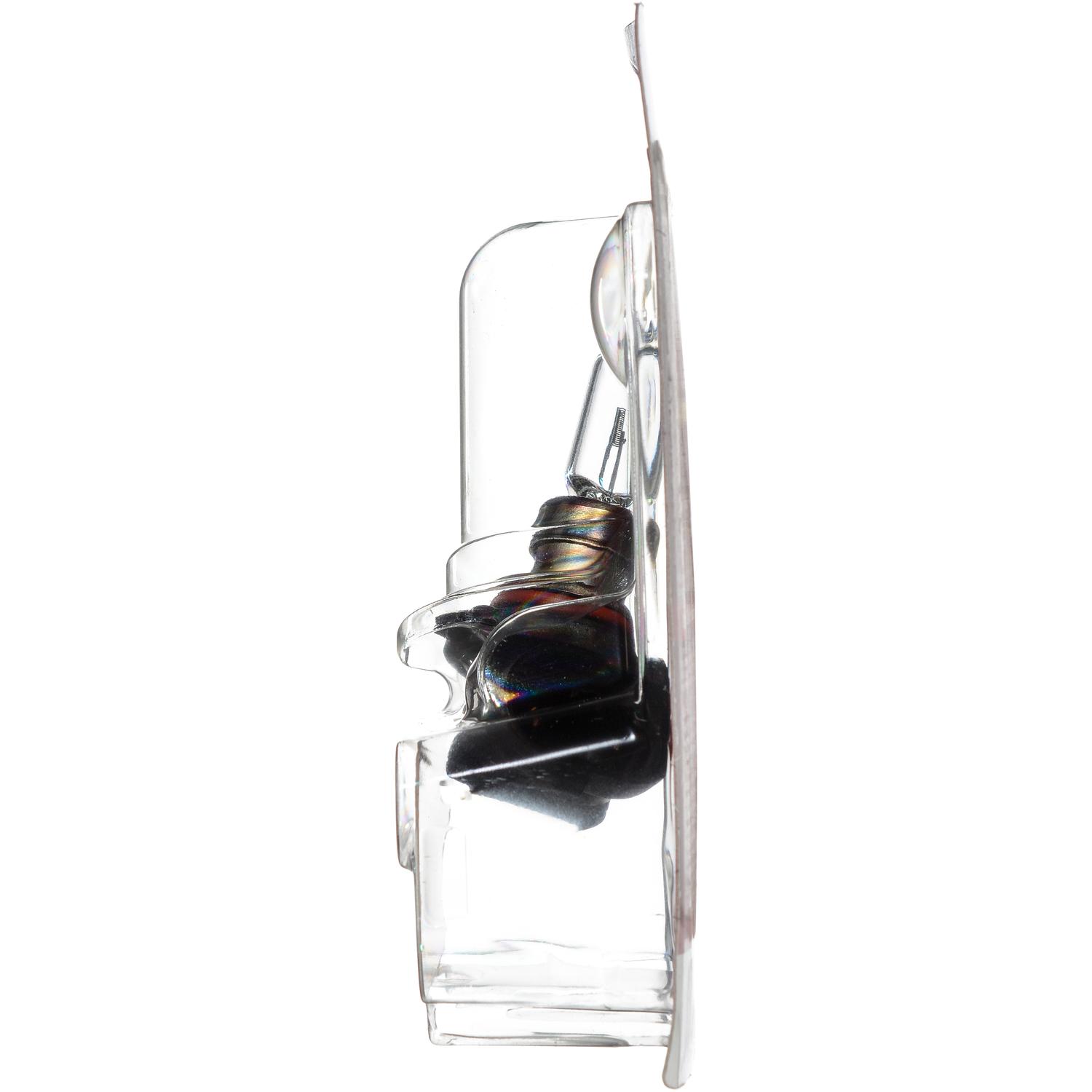 Philips 9005VPB1 - Daytime Running Light Bulb Philips 9005VPB1 Daytime Running Light Bulb product image 9 of 10
