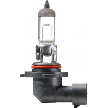 Philips 9040B1 Fog Light Bulb product image 10 of 10