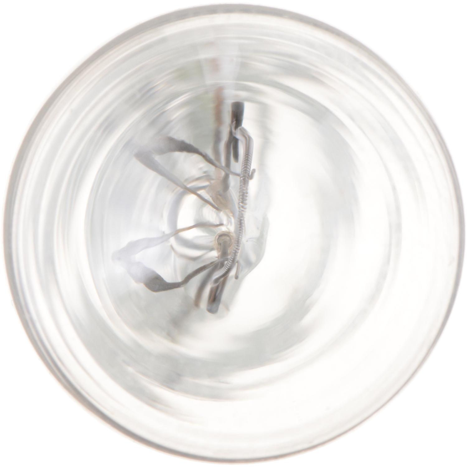 Philips 904CP - Center High Mount Stop Light Bulb Philips 904CP Back Up Light Bulb product image 2 of 10