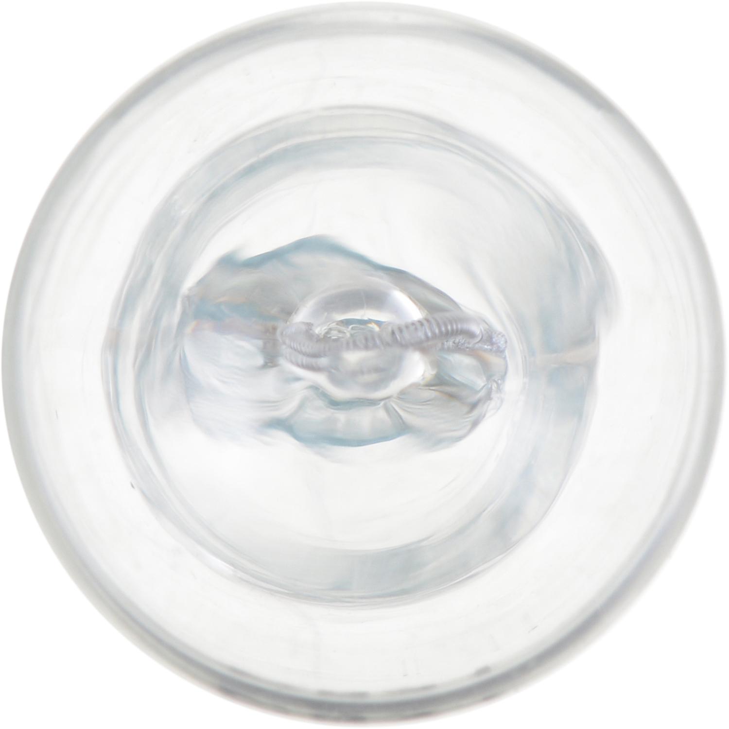 Philips 921B2 - Center High Mount Stop Light Bulb Philips 921B2 Back Up Light Bulb product image 3 of 17