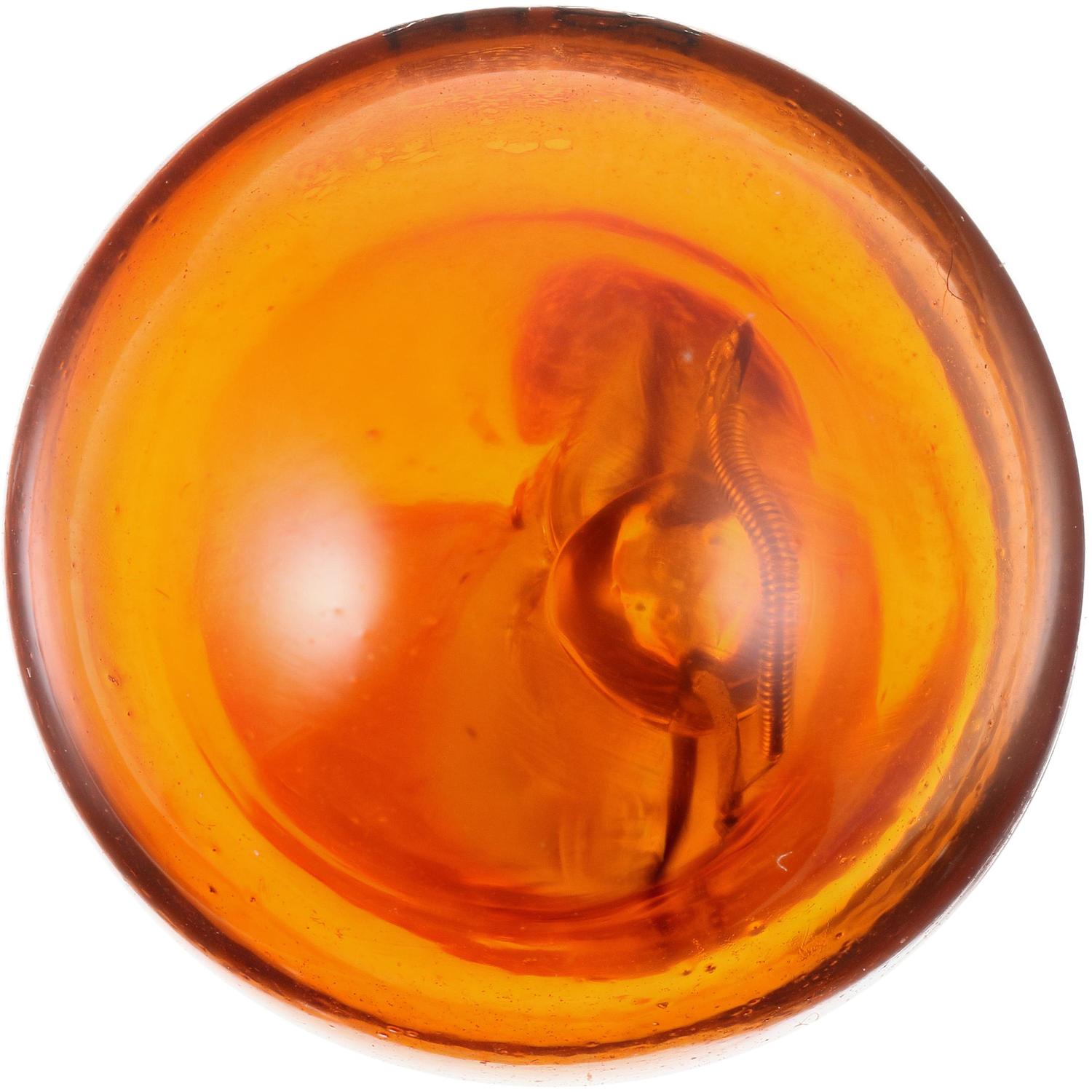 Philips 921NALLB2 Side Mirror Signal Lamp Bulb product image 2 of 10