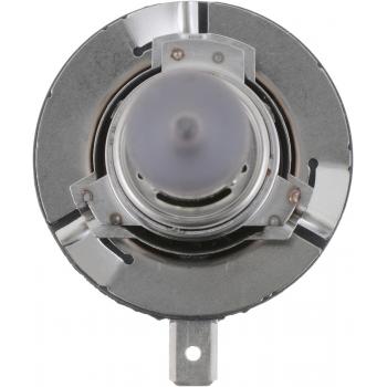 Philips H11BC1 Fog Light Bulb product image 2 of 10