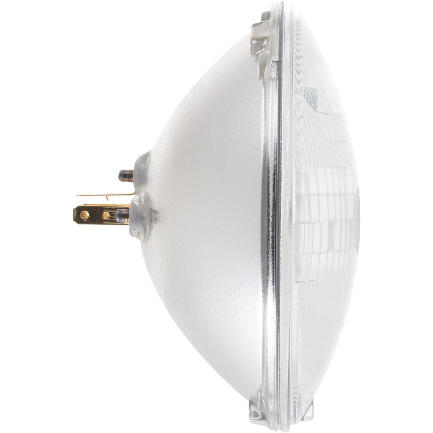 Philips H6024CVC1 - Headlight Bulb Philips H6024CVC1 Headlight Bulb product image 5 of 10