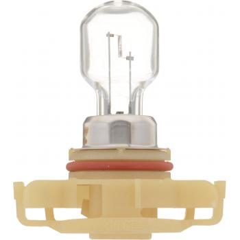 Philips PS24WFFC1 Daytime Running Light Bulb product image 4 of 10