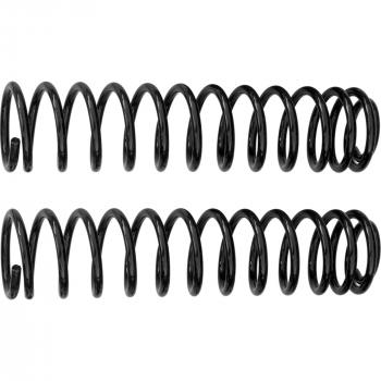 Rancho RS80131B Coil Spring Set product image 1 of 1
