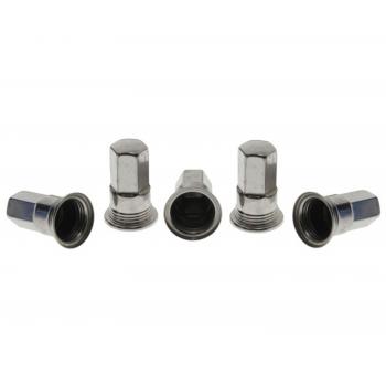 Raybestos 10006N Wheel Fastener Cover product image 1 of 1
