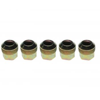 Raybestos 10007N Wheel Lug Nut product image 1 of 1