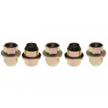 Raybestos 10019N Wheel Lug Nut product image 1 of 1