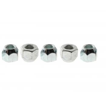 Raybestos 10020N Wheel Lug Nut product image 1 of 1