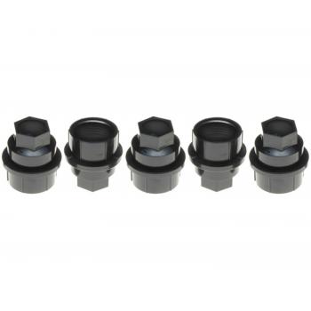 Raybestos 10048N Wheel Fastener Cover product image 1 of 1
