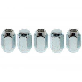 Raybestos 10102N - Wheel Lug Nut Raybestos 10102N Wheel Lug Nut product image 1 of 1