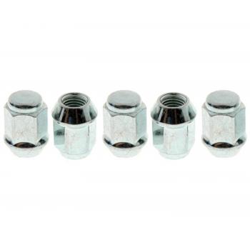 Raybestos 10106N Wheel Lug Nut product image 1 of 1