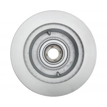 Raybestos 66529FZN - Disc Brake Rotor and Hub Assembly Raybestos 66529FZN Disc Brake Rotor and Hub Assembly product image 1 of 3