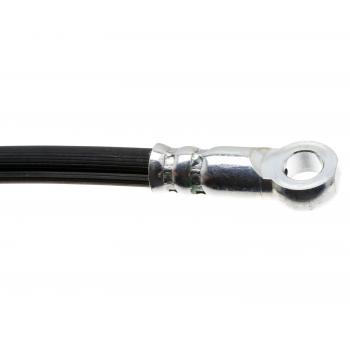 Raybestos BH383461 - Brake Hydraulic Hose Raybestos BH383461 Brake Hydraulic Hose product image 3 of 3